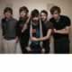 Foals