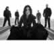 We Are The Fallen