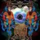 Crack The Skye
