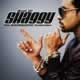 Best Of Shaggy