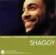 The Essential Shaggy